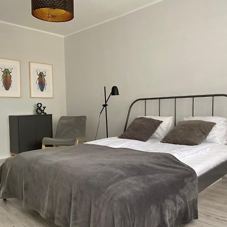 Apartament Kilinskiego 9 Świdnica Exterior foto